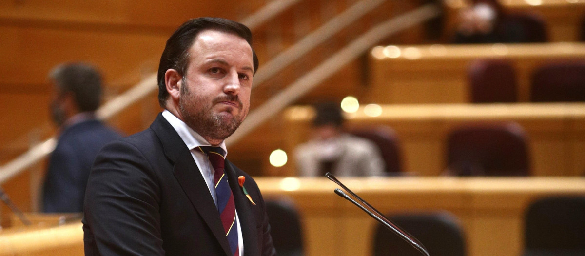 Imagen del alcalde de Elche, Pablo Ruz