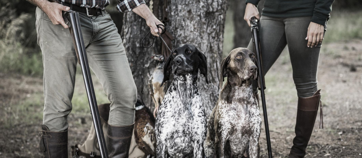 Hunters with German Shorthaired Pointers