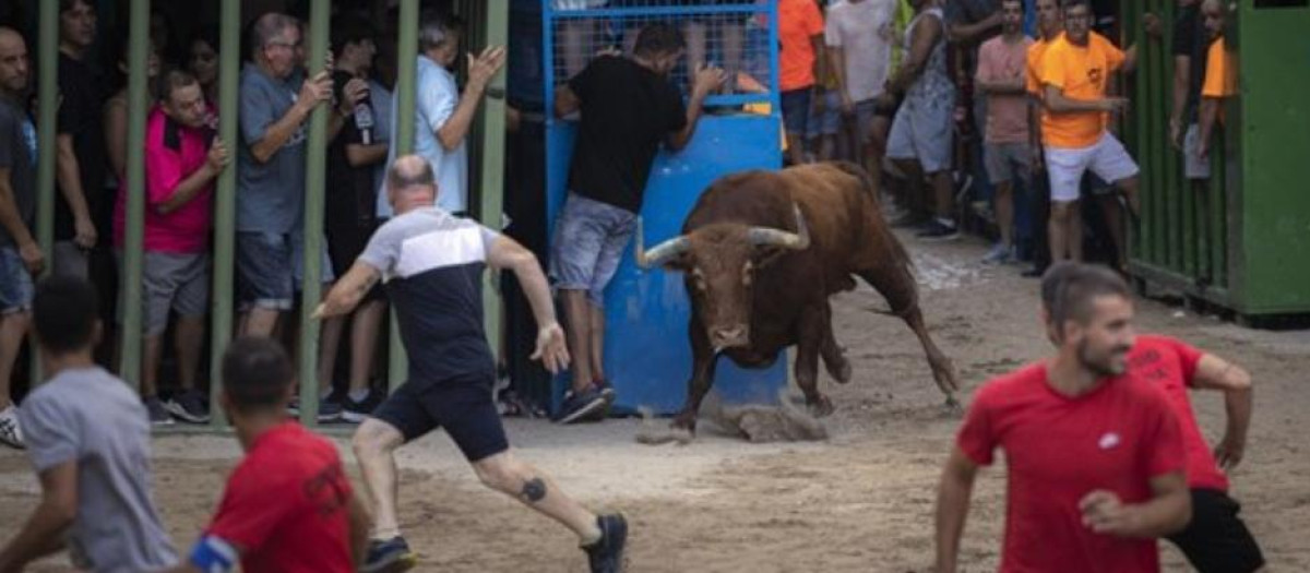Imagen de archivo de un festejo de bous al carrer en la Comunidad Valenciana