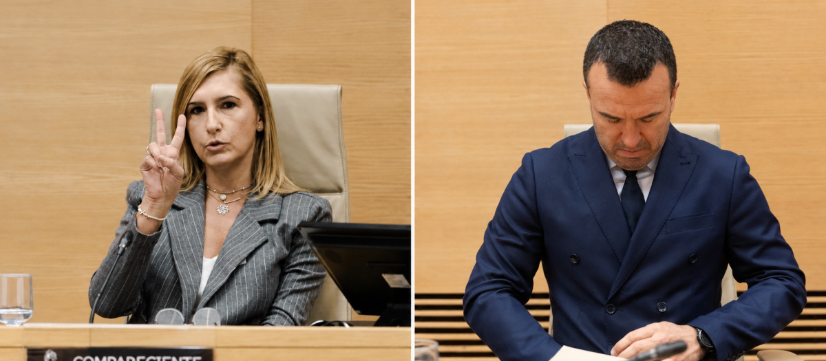 Comparecencia en el Congreso de Salomé Pradas y Vicente Mompó