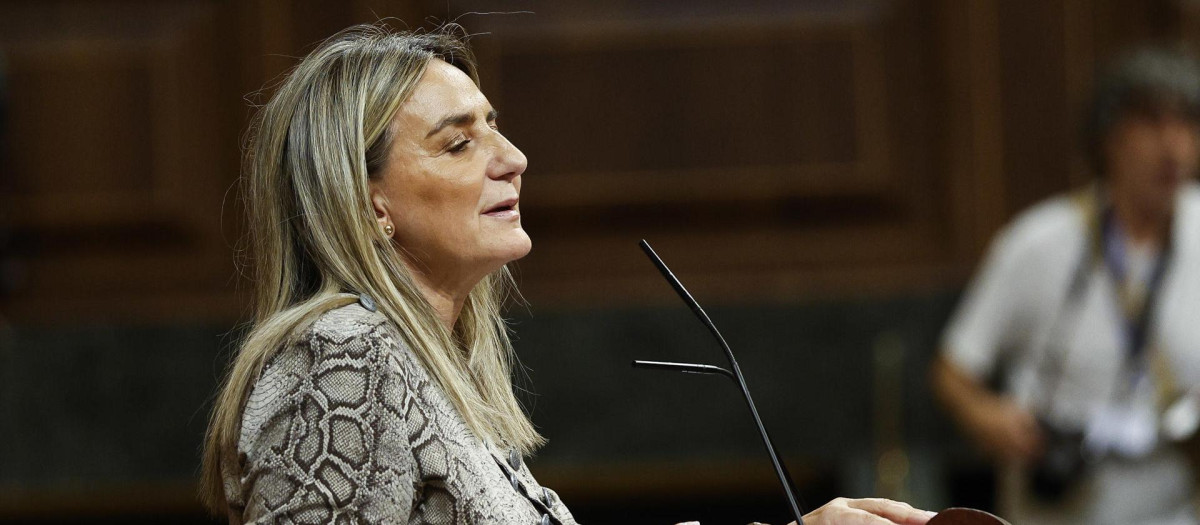 La ministra de Educación, Milagros Tolón interviene durante el pleno en el Congreso de los Diputados en Madrid, este miércoles