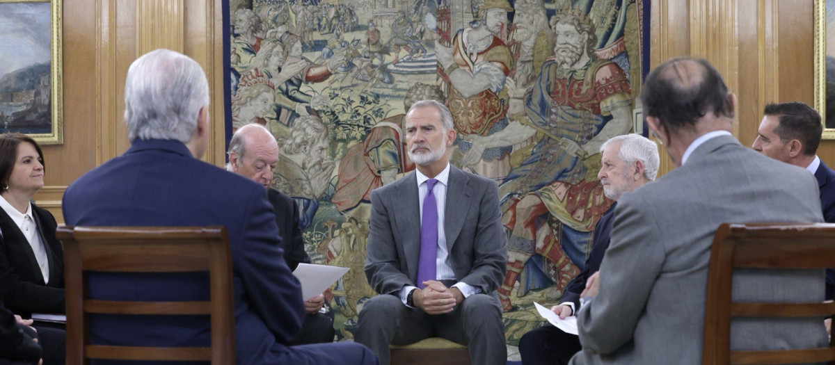 El Rey escucha las recomendaciones del Real Colegio Libre de Eméritos sobre prevención de catástrofes