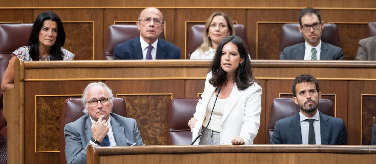 La portavoz de Vox en el Congreso, Pepa Millán, durante una sesión de control al Gobierno