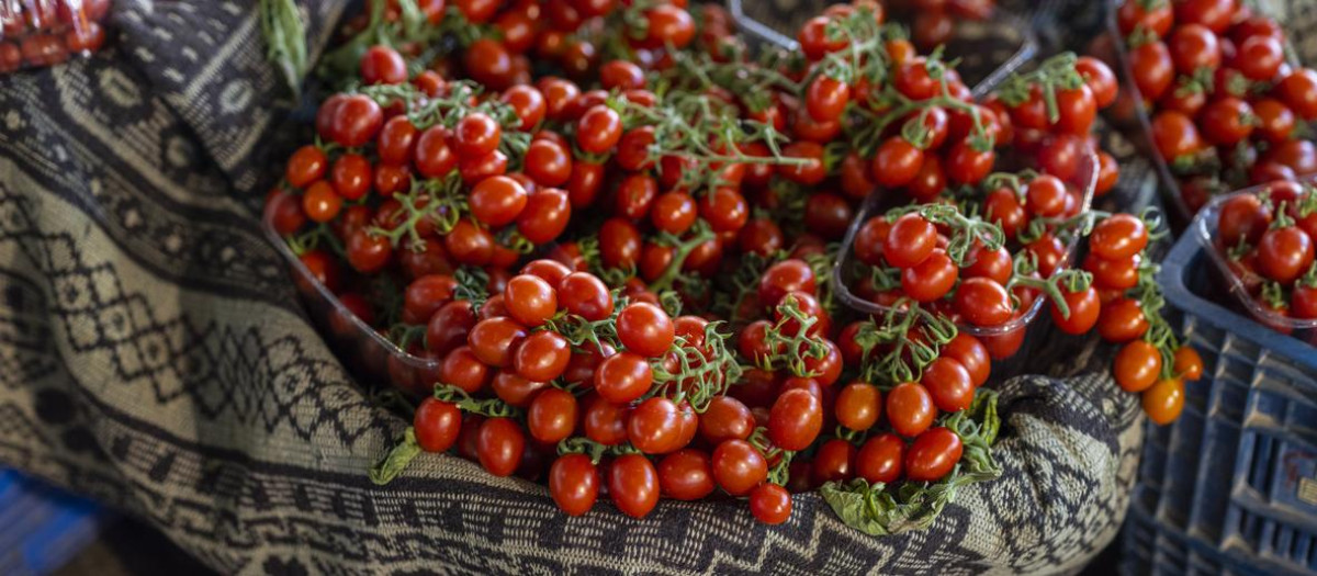 Tomates cherry en un mercado, en Marruecos