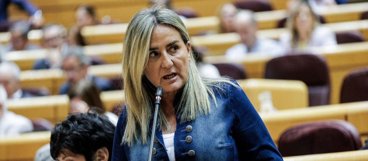 La ministra de Educación, Formación Profesional y Deportes, Milagros Tolón