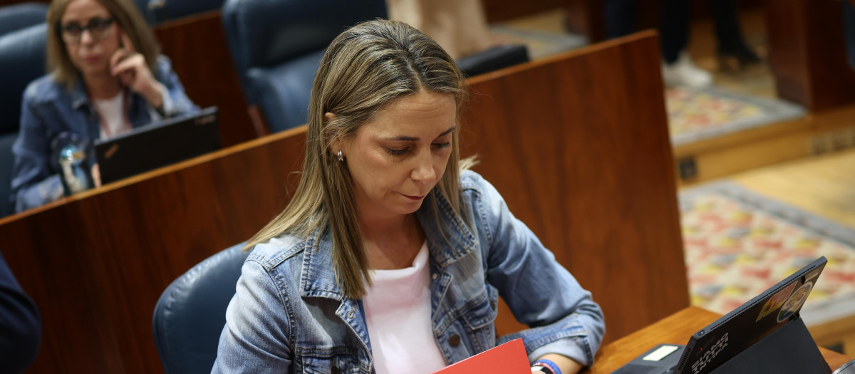 La portavoz del grupo socialista en la Asamblea, Mar Espinar