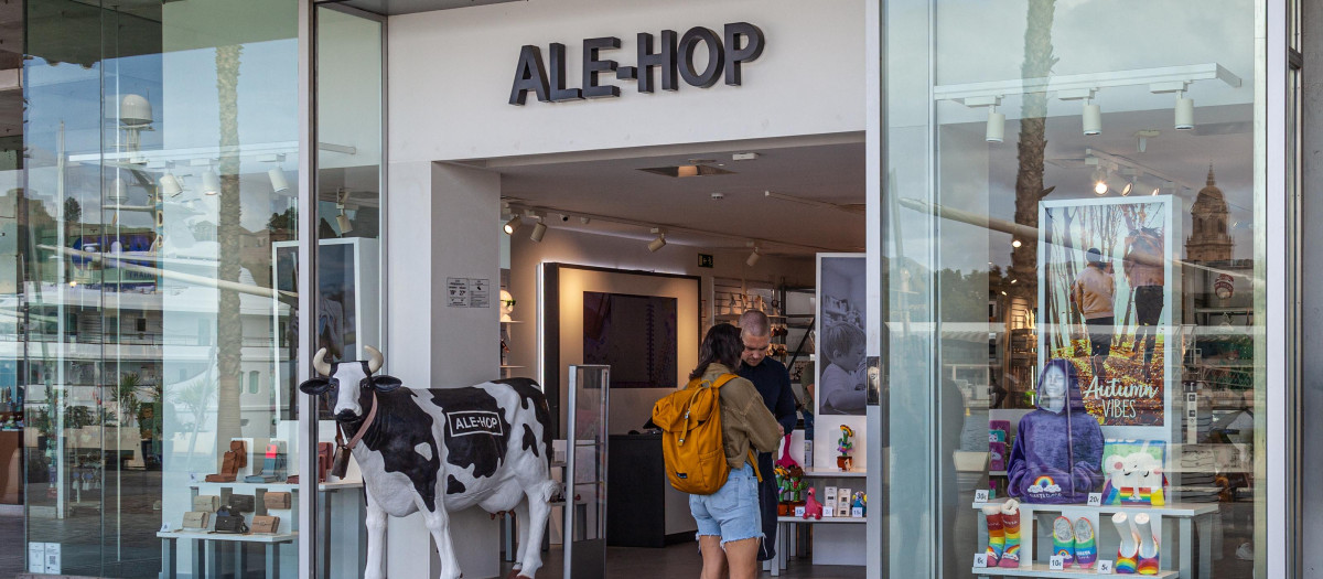 Tienda de Ale-Hop en Málaga