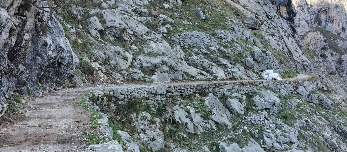 Ruta del Cares, en Cabrales, Asturias

REMITIDA / HANDOUT por GOBIERNO DE ASTURIAS
Fotografía remitida a medios de comunicación exclusivamente para ilustrar la noticia a la que hace referencia la imagen, y citando la procedencia de la imagen en la firma
07/11/2025