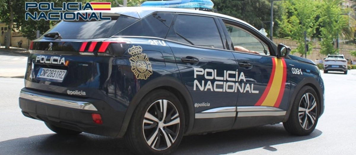 Vehículo de la Policía Nacional en el centro de Granada