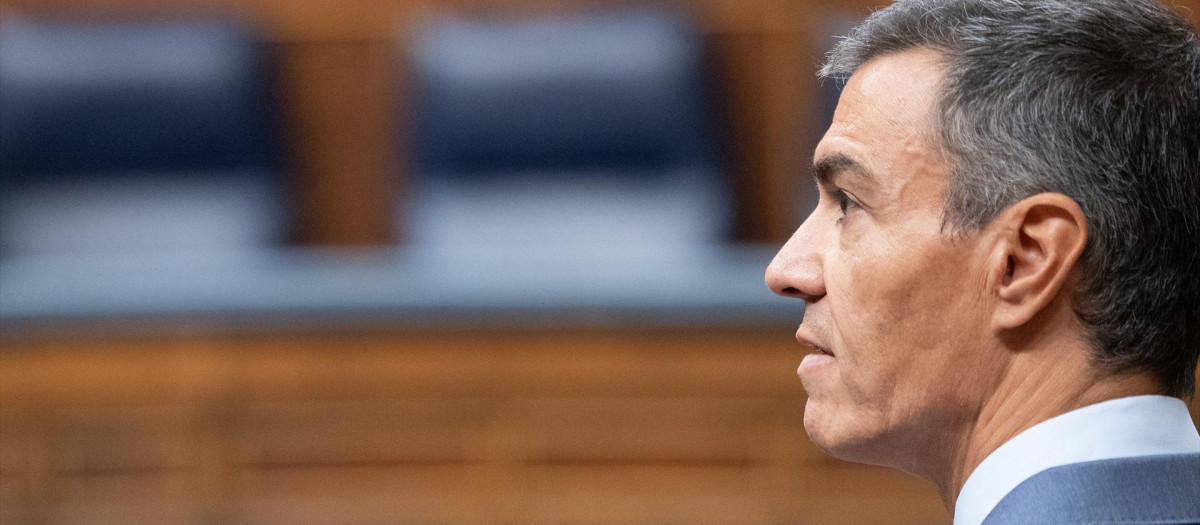 El presidente del Gobierno, Pedro Sánchez, interviene durante una sesión de control al Gobierno.