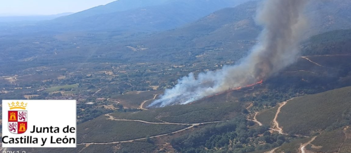 Incendio en Candeleda (Ávila)