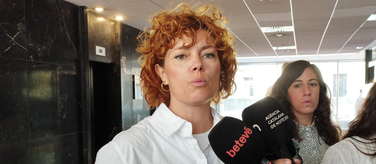 Alamany en declaraciones a los medios este martes.