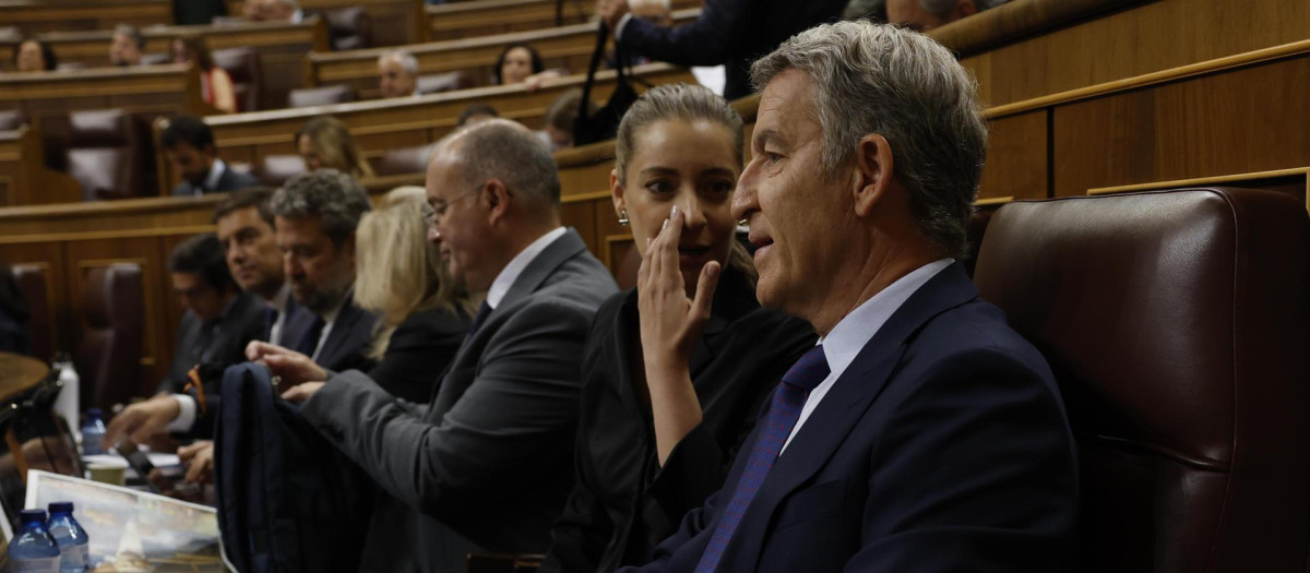 El líder del PP, Alberto Núñez Feijóo, este miércoles en el Congreso