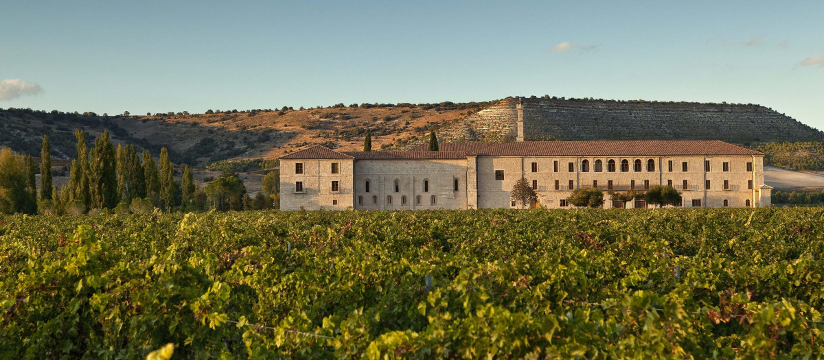 Abadía Retuerta LeDomaine