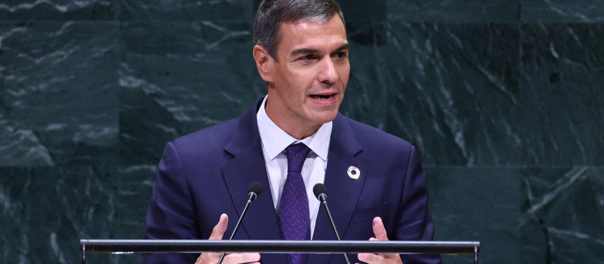 El presidente del Gobierno, Pedro Sánchez, en la ONU