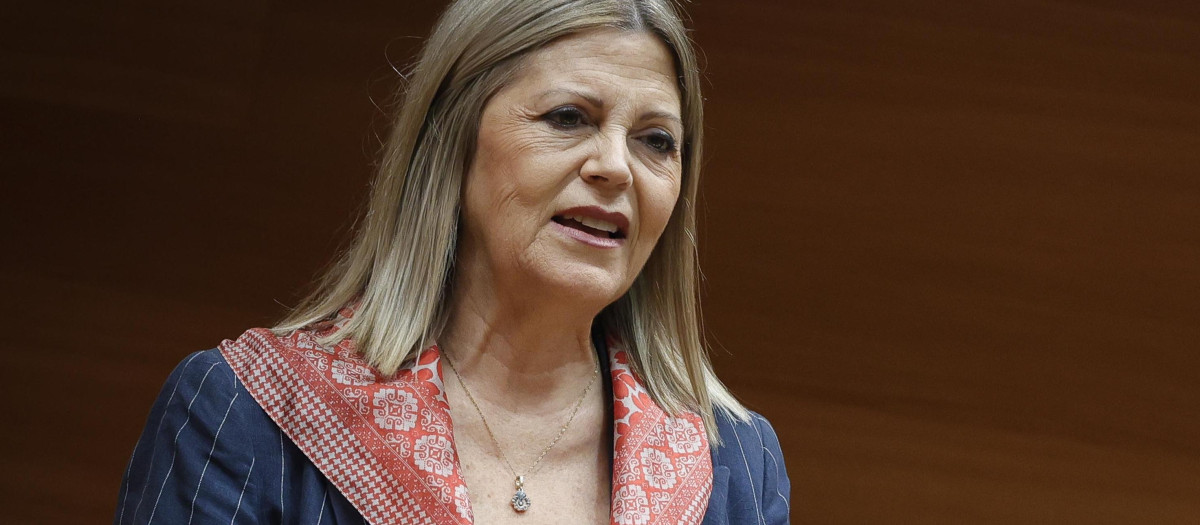 Imagen tomada este viernes de Carmen Ortí en las Cortes Valencianas