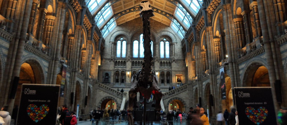 Entrada del Museo de Historia Natural (Londres)