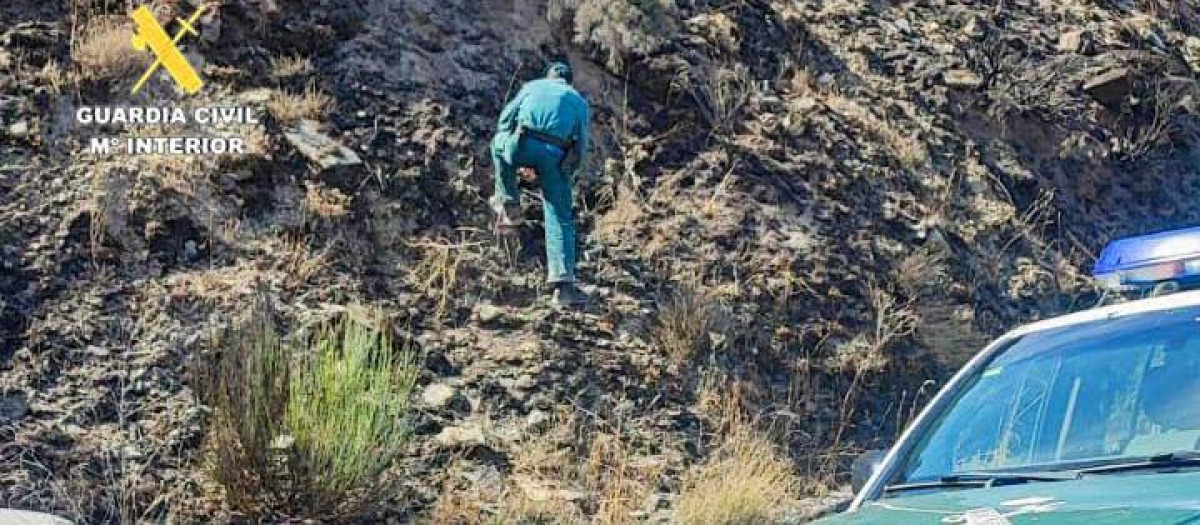 Incendio forestal que arrasó 68 hectáreas de monte bajo en La Baña (León)