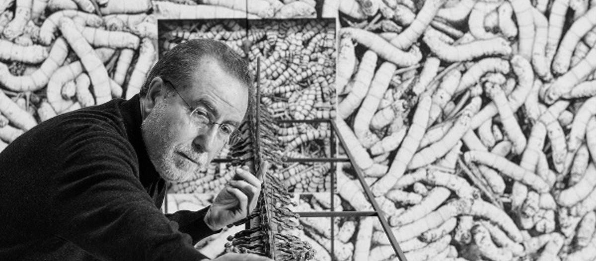 El artista Manuel Boix