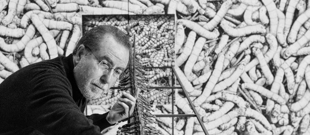El artista Manuel Boix