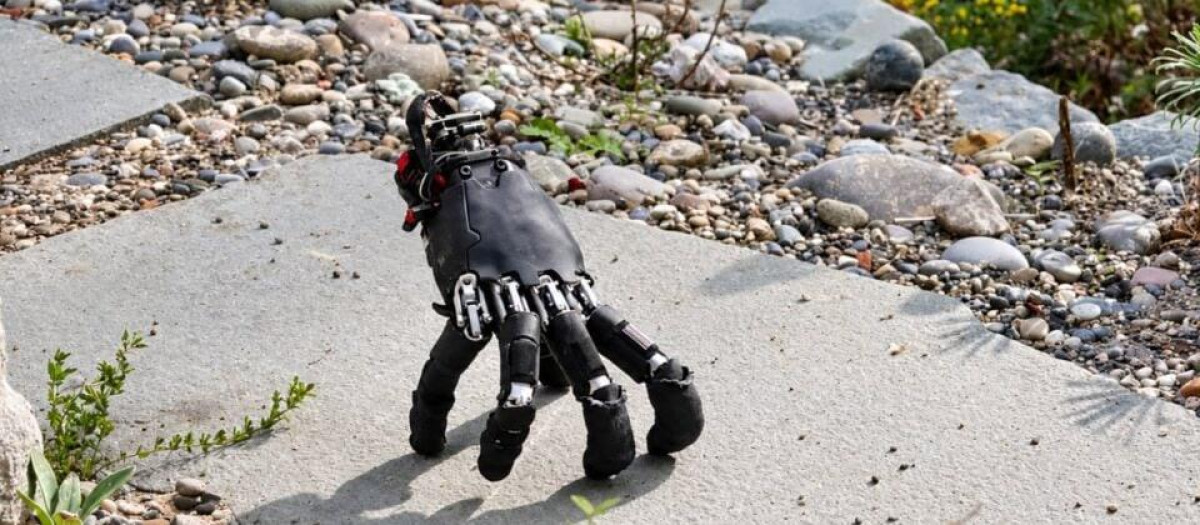Fingers as Legs