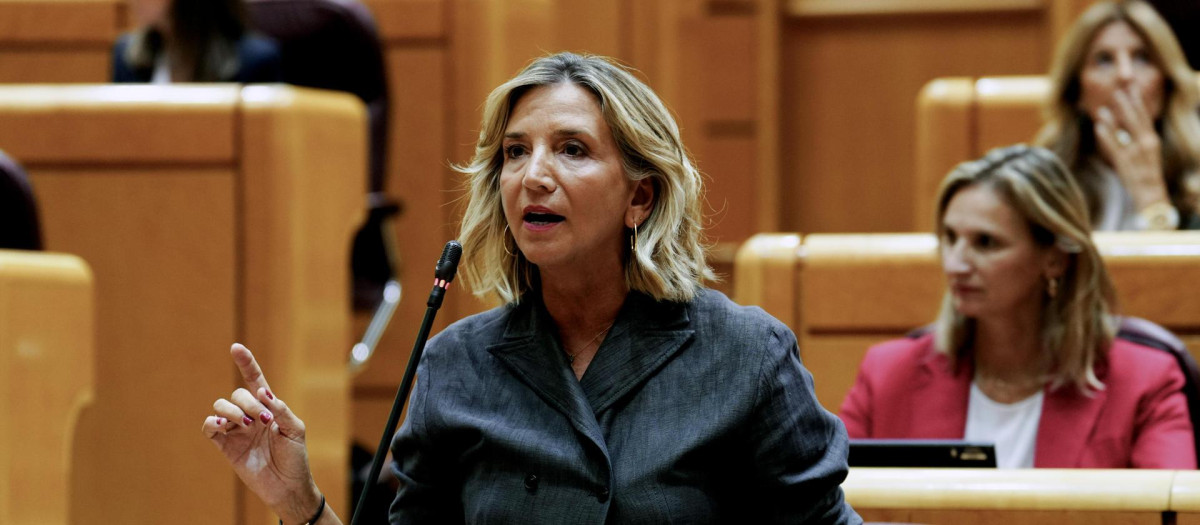 La portavoz del PP en el Senado, Alicia García