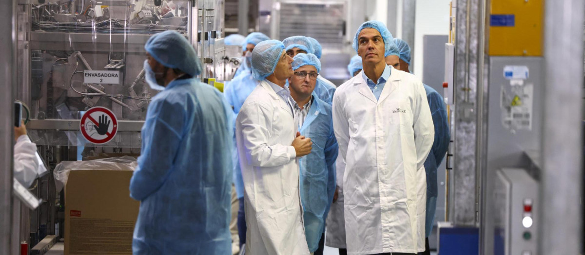 Pedro Sánchez durante una visita a una fábrica en Noblejas (Toledo)