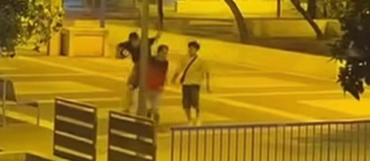 Fragmento del vídeo de la paliza