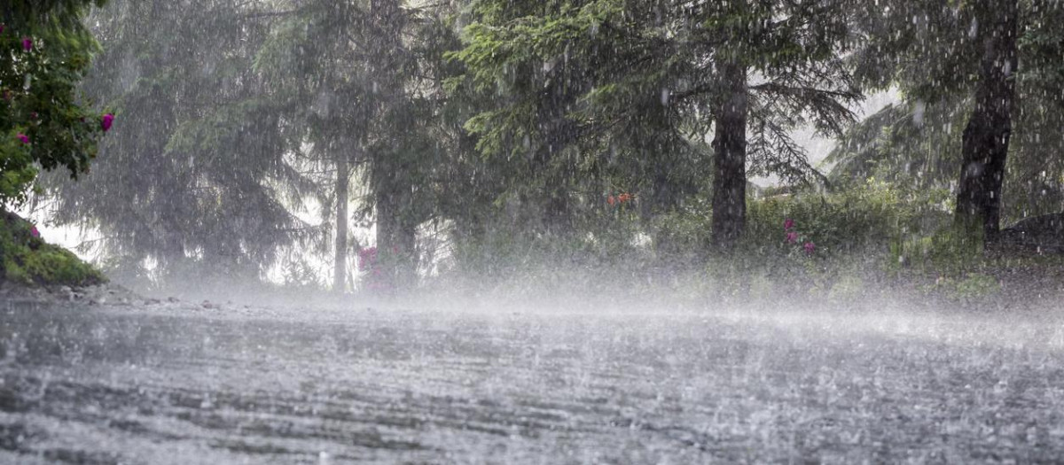 Lluvias