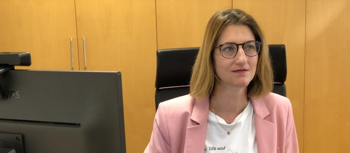 La portavoz del grupo popular en el Ayuntamiento de Alicante, Mari Carmen de España