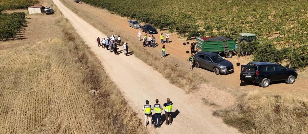 Uno de los registros en una finca

REMITIDA / HANDOUT por POLICÍA NACIONAL
Fotografía remitida a medios de comunicación exclusivamente para ilustrar la noticia a la que hace referencia la imagen, y citando la procedencia de la imagen en la firma
06/10/2026