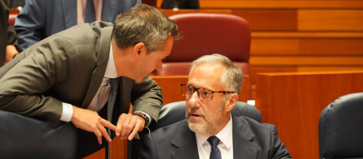 El portavoz de Vox en las Cortes de Castilla y León, David Hierro (izqda.) dialoga en el Pleno con el vicepresidente primero de la Junta, Carlos Pollán