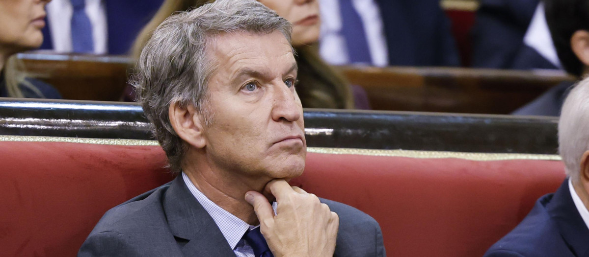 Alberto Núñez Feijoo en una imagen en el Senado