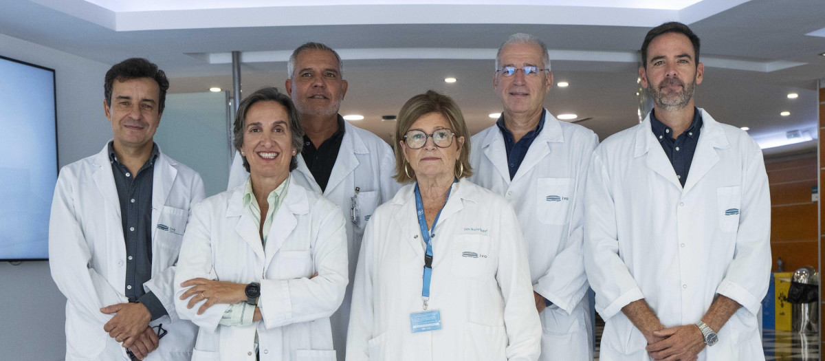Equipo de profesionales IVO