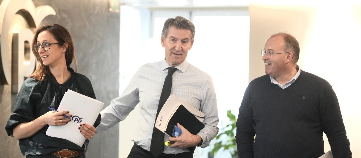 El presidente del PP, Alberto Núñez Feijóo y el secretario general del partido, Miguel Tellado