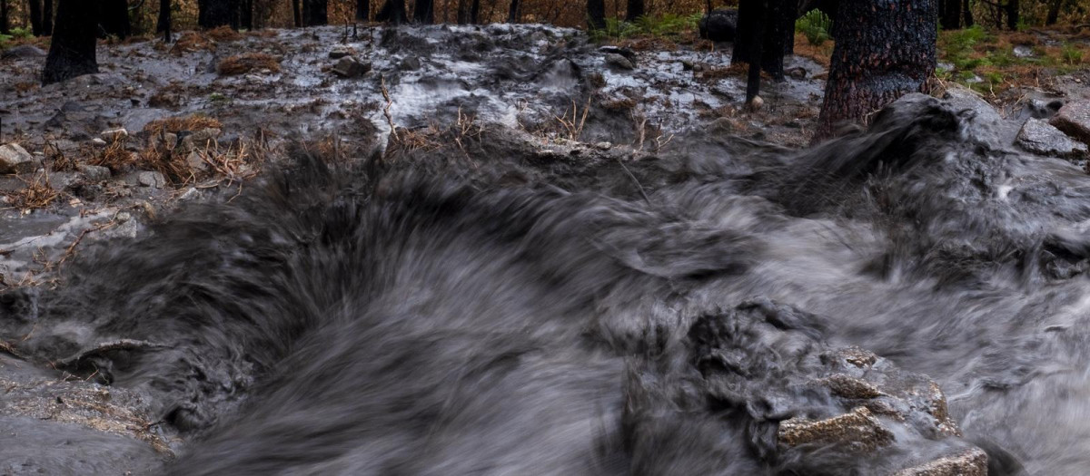 Ceniza y lodo en el río tras el incendio de Burgohondo, Ávila 

REMITIDA / HANDOUT por PEDRO ARMESTRE / GREENPEACE
Fotografía remitida a medios de comunicación exclusivamente para ilustrar la noticia a la que hace referencia la imagen, y citando la procedencia de la imagen en la firma
04/10/2026