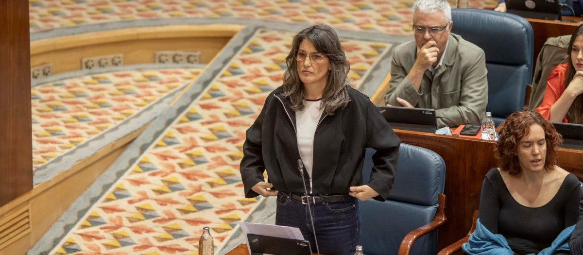 La portavoz de Más Madrid en la Asamblea, Manuela Bergerot
