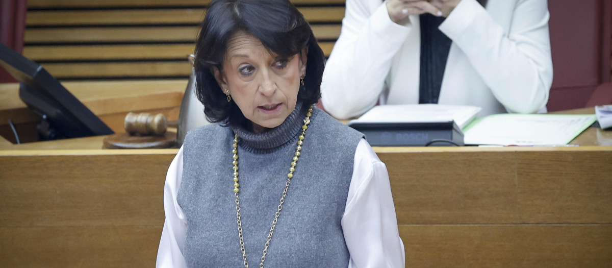 Imagen de la portavoz de Universidades del Partido Popular en las Cortes Valencianas, Lola Roch