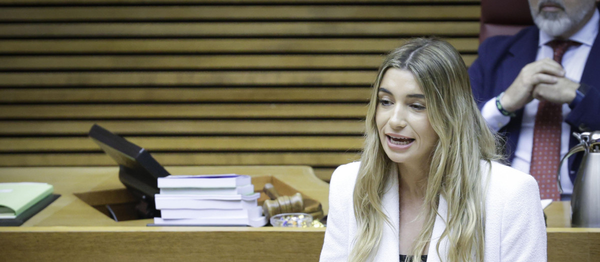 Imagen de la diputada del PP Candela Anglés