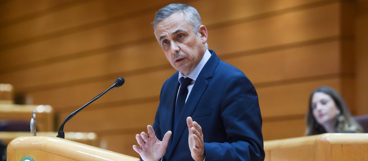 El senador de Vox Ángel Pelayo Gordillo, en la Cámara Alta