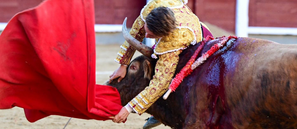 Álvaro Serrano durante la cogida