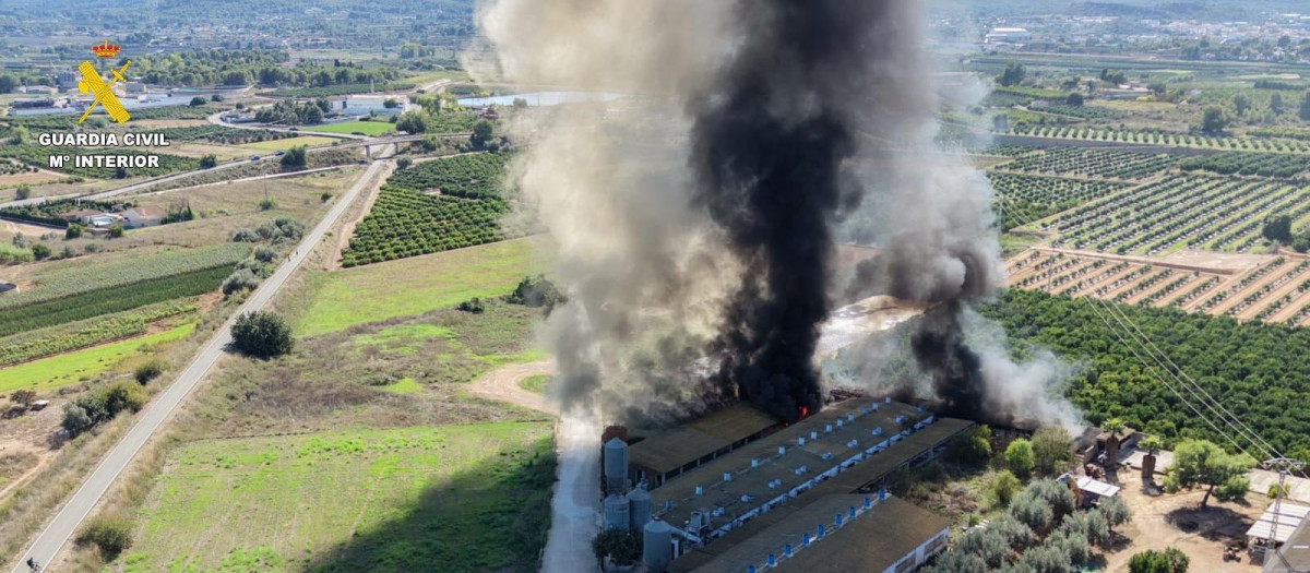 Imagen del incendio registrado en una granja porcina de la localidad valenciana de Benaguacil
