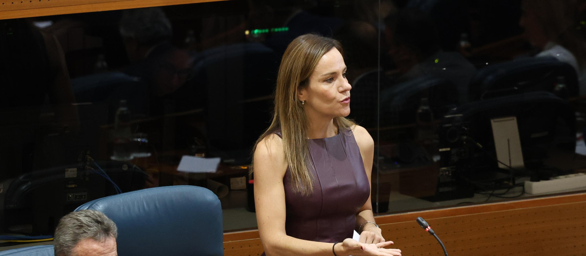 La portavoz de Vox en la Asamblea de Madrid, Isabel Pérez Moñino