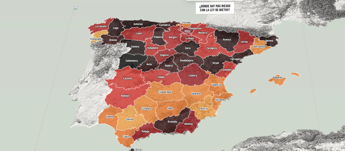 Imagen de la web de Vox sobre el 'fraude' de la ley de nietos