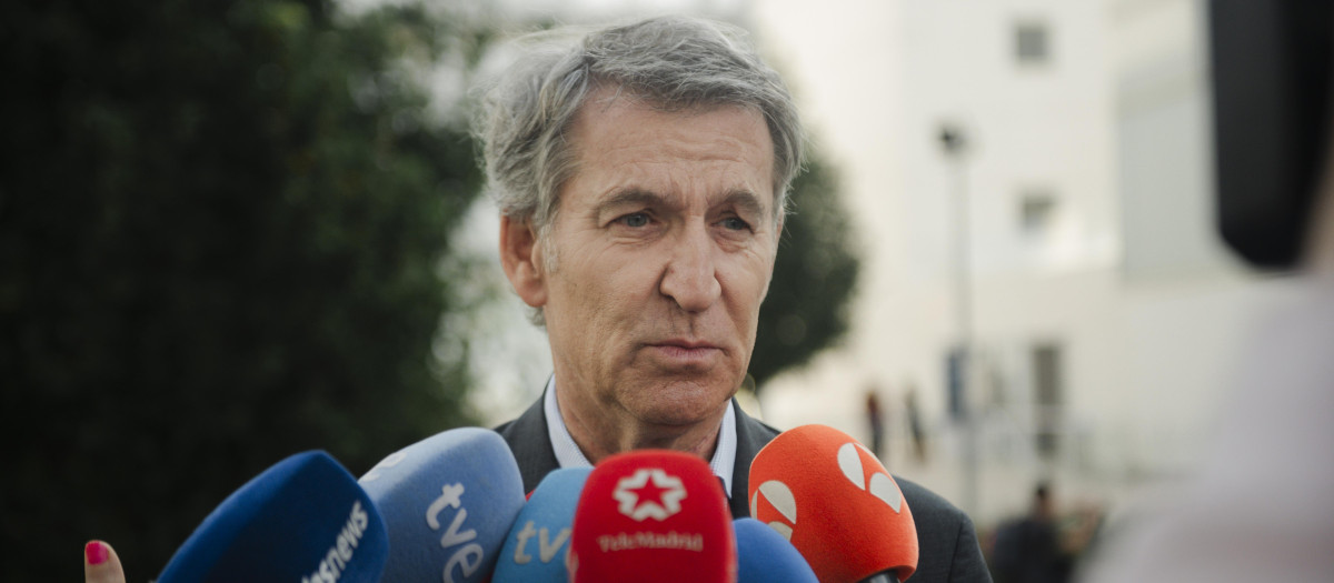 El presidente del Partido Popular, Alberto Núñez Feijóo