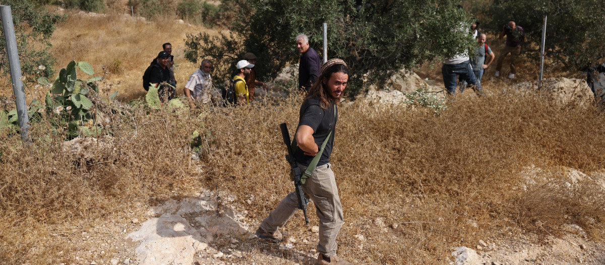 Un colono israelí armado evacúa a palestinos y a activistas israelíes de una zona de plantación de olivos en la localidad de Idna, cerca de la ciudad de Hebrón, en la Cisjordania
