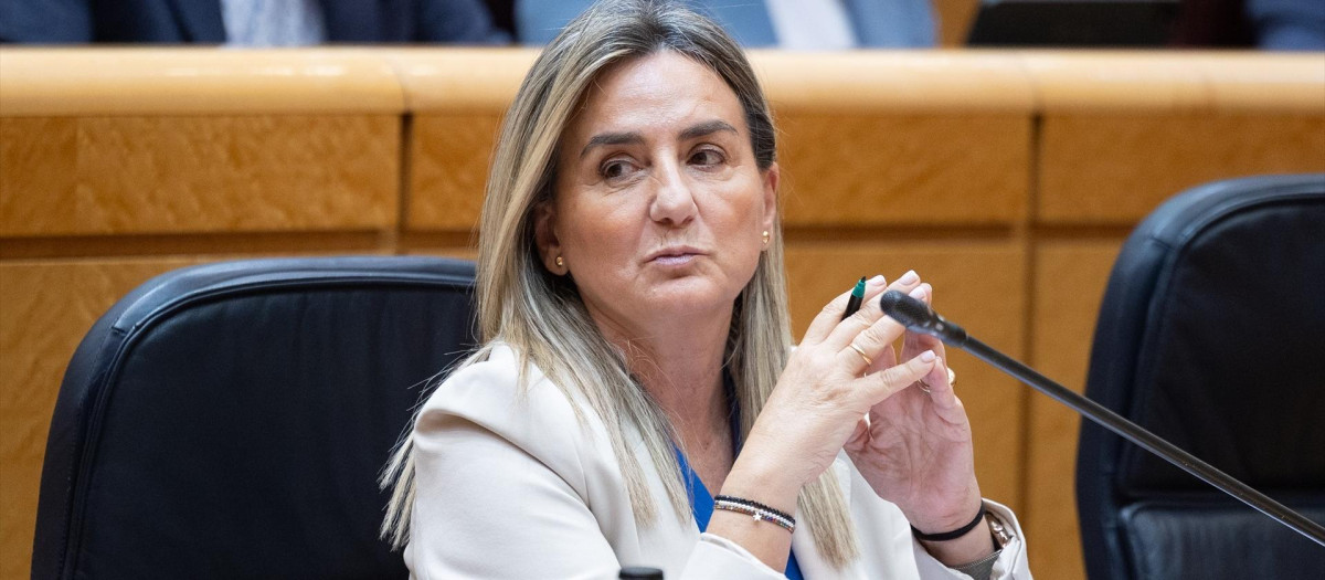 La ministra de Educación, Formación Profesional y Deportes, Milagros Tolón