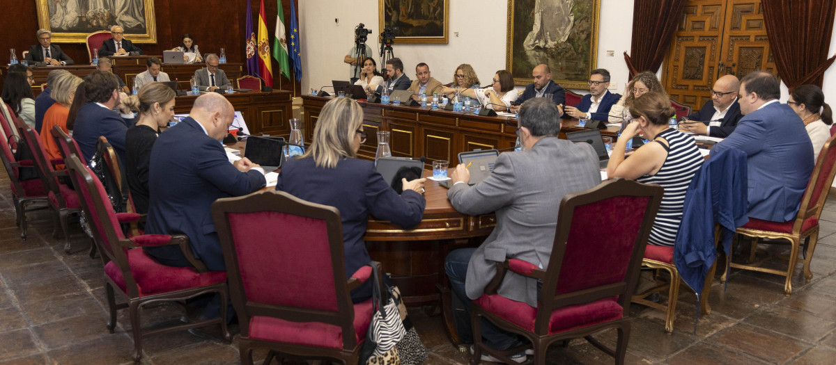 Pleno de la Diputación de Córdoba