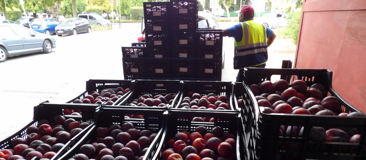 Banco de Alimentos de Córdoba