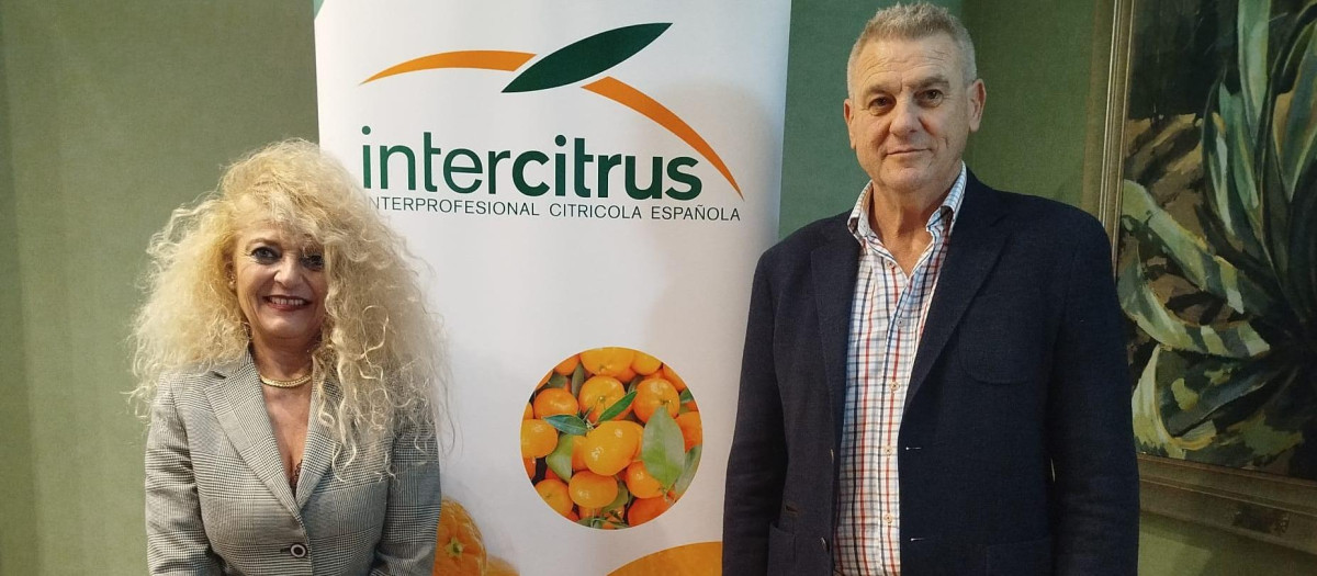 Intercitrus elige a Inmaculada Sanfeliu nueva presidenta y ejecuta la extensión de norma